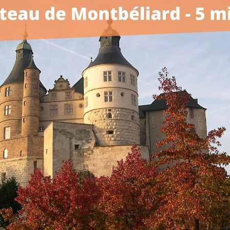 Appart'Hotel - L'Ile En Mouvement Montbéliard Esterno foto